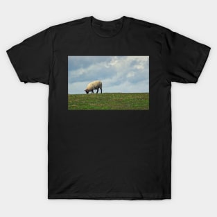 Sheep on the Hill T-Shirt